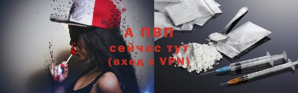 стаф Вяземский